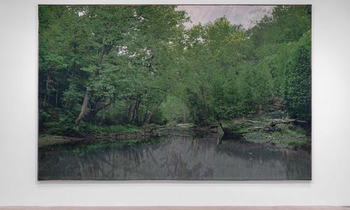 Realistic image of a forest of trees with water in the foreground.