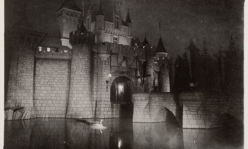 A castle in Disneyland. 
