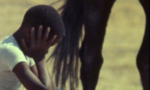 Boy holds head in hands. Part of a horse shows in the background.