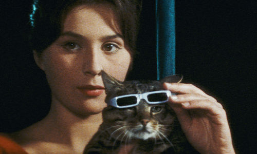 A woman stands behind a cat who is wearing sunglasses