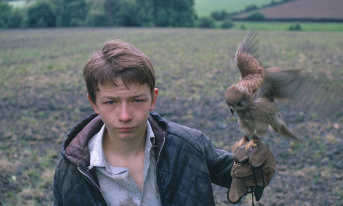 A boy holds a falcon on his arm