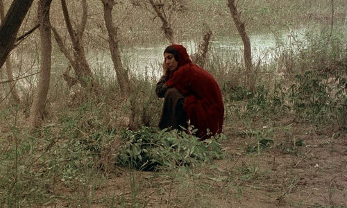 Still from The Sealed Soil