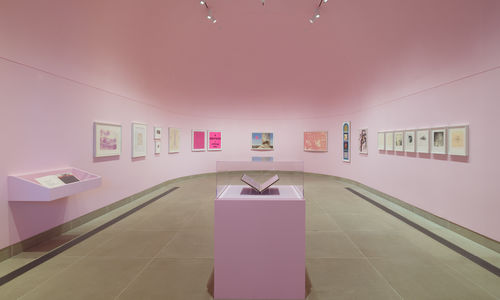 Installation view of framed works on paper installed on wall and in vitrines, the Vault gallery walls painted pink
