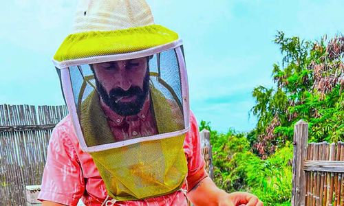 A beekeeper at work
