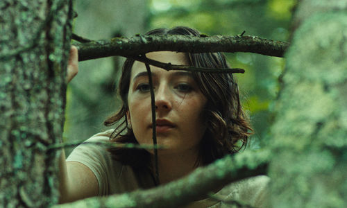  A girl gazing through a tree branch