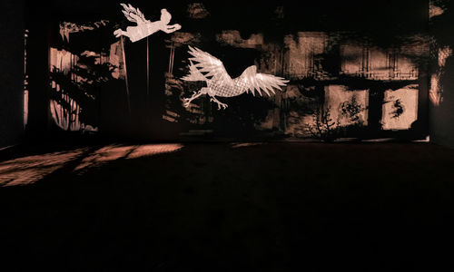 Image of multimedia installation with elements of shadow puppetry