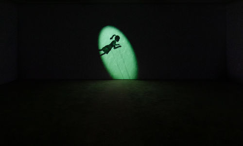 Image of multimedia installation with elements of shadow puppetry