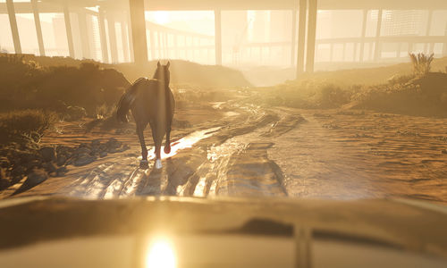 A horse running through an industrial landscape under bright sunlight