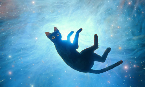 An animated cat floats under water