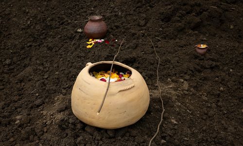 Three earthen pots, filled with flower petals with a twig laying across the top, on a bed of soil