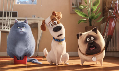 Three animated pets - a cat and two dogs - making funny faces