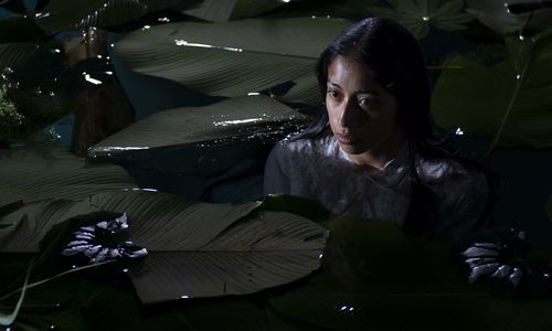A dark-haired woman stands neck-deep in a body of water, surrounded by large plant fronds