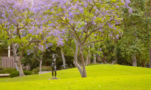 A large grassy area with trees in the middle ground blooming with purple flowers, and a single bronze sculpture of a nude woman standing on the grass in the middle ground, and another abstract sculpture in the background. More trees are in the background, and appear to obscure buildings.