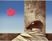 An artwork of a man in a cloak looking up at a pink rose