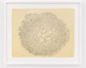 An intricate ink drawing by artist Ruth Asawa in a white frame on a white wall