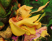 A digitally-processed image of nature