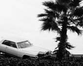 Black and white image of a car run off the road next to a palm tree